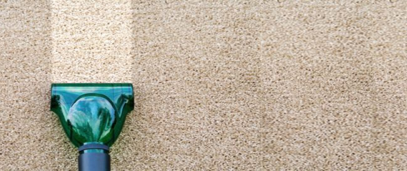Local Professional Carpet Cleaning Company