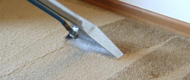 carpet cleaning guide