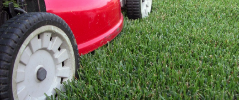 Local Lawn Mowing Companies